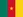 Cameroon flag