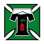 Deportes Temuco