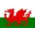 Wales U19