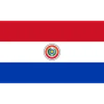 Paraguay logo